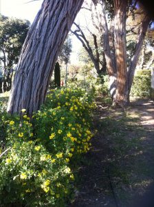 photo-7